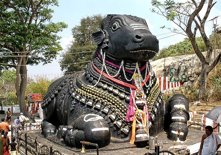 **Samson's Photoblog** Nandi