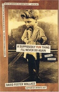 A supposedly fun thing essay