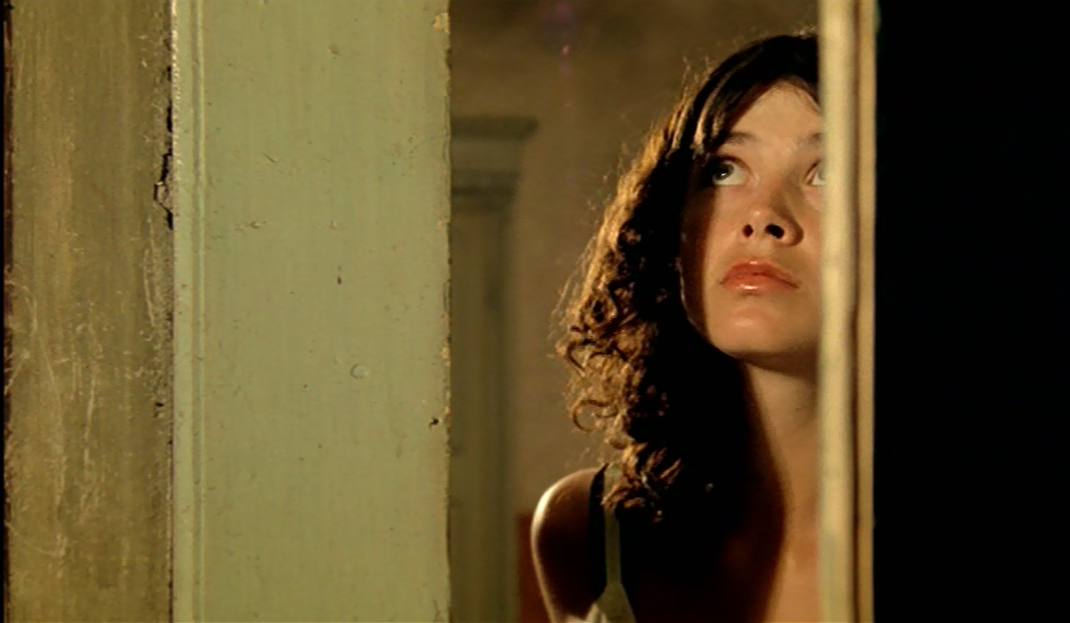 MCBASTARD'S MAUSOLEUM DVD Review THE HOUSE WITH THE LAUGHING WINDOWS