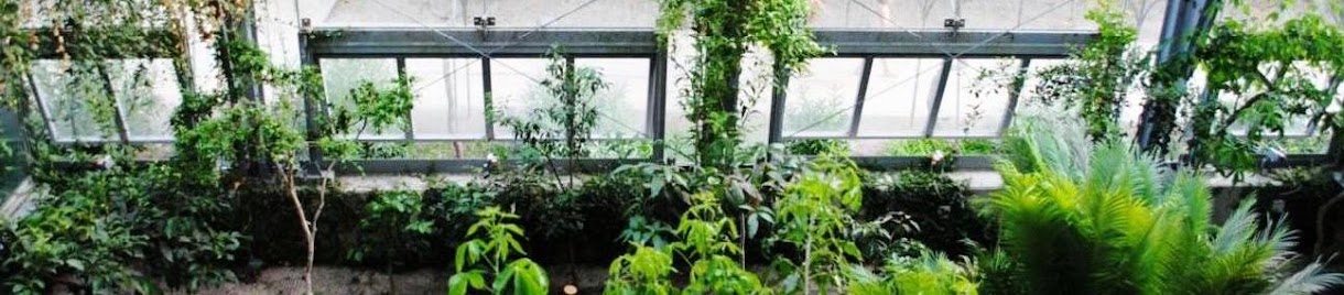 Espacio Web de Julia Fernández Galisteo: Construcción con fardos de paja