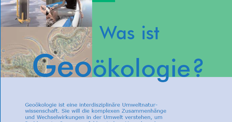 was ist viszeralfett