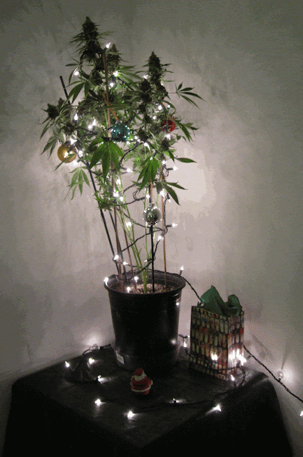 ideas december 2011 ideas december 2011