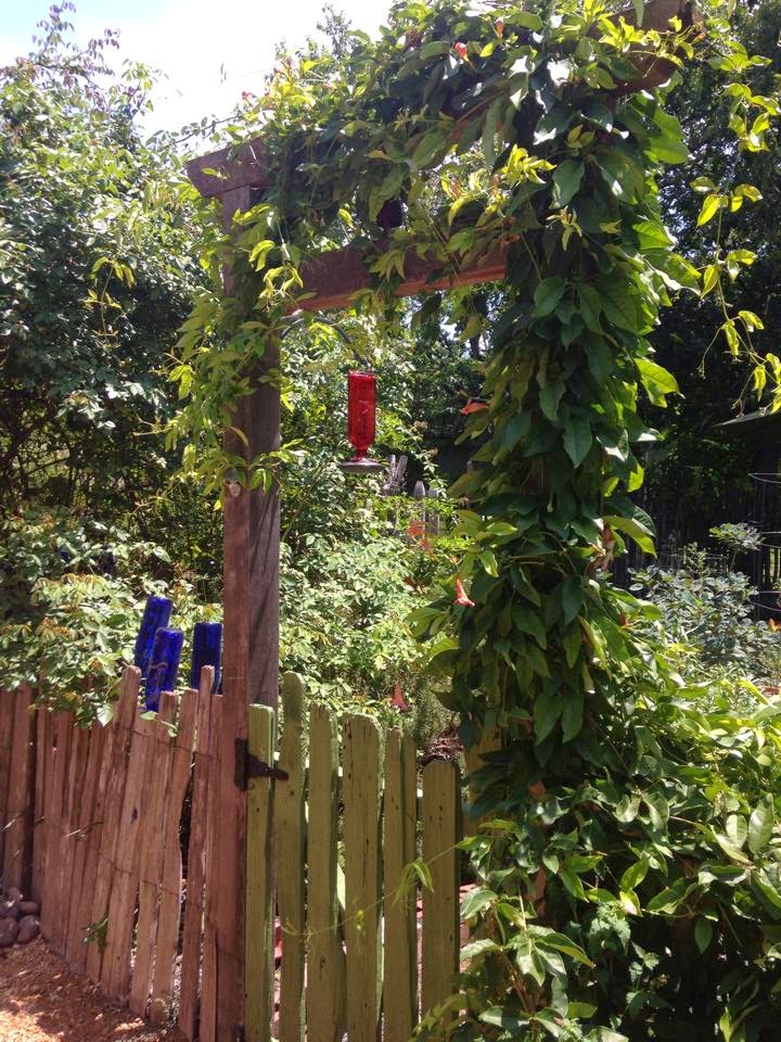 Gate to the herb garden