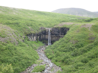 Svartifoss, the amazing waterfall with basalt columns, Iceland