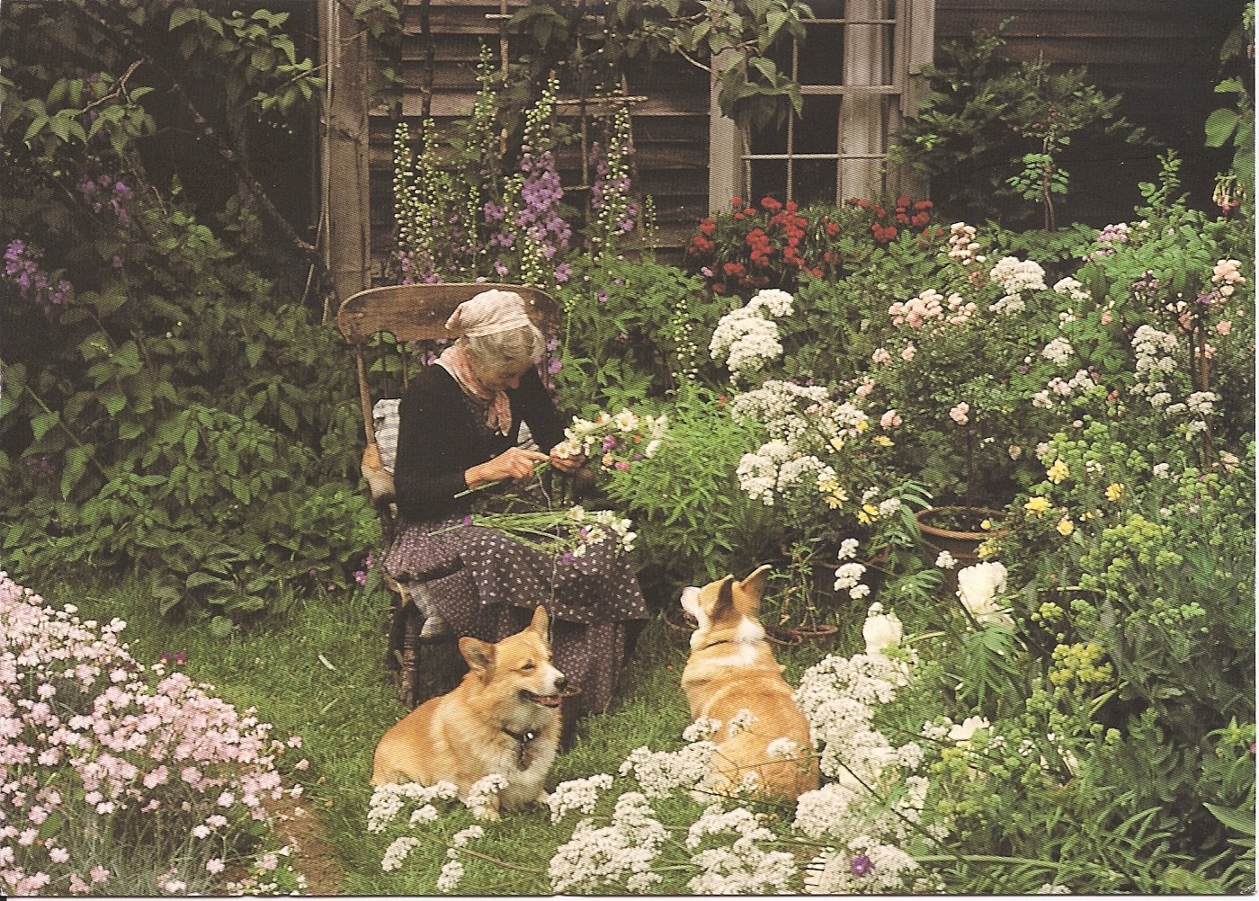 HOME & GARDEN Le jardin de Tasha Tudor