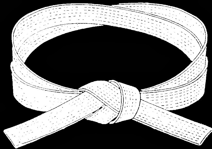 Taekwondo Black Belt