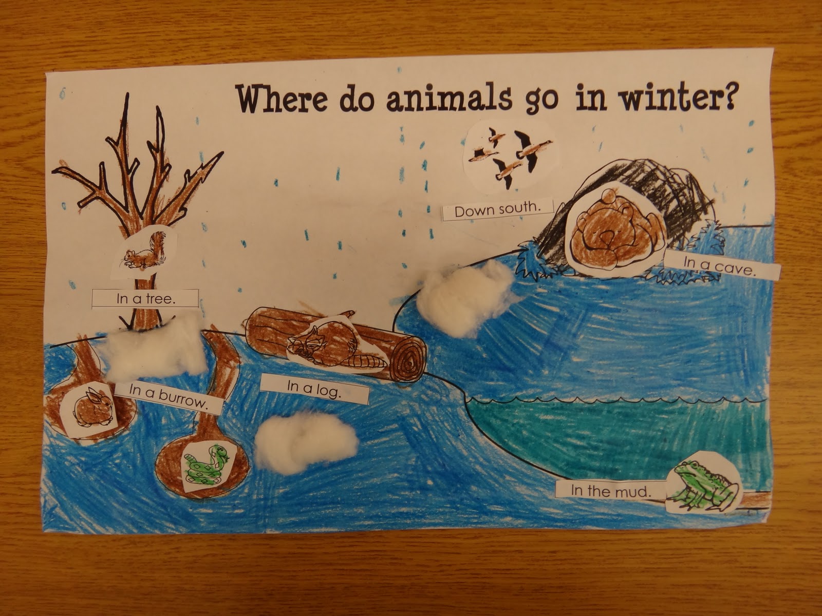 worksheet Where Do Animals Go In Winter Worksheet first grade garden more bears