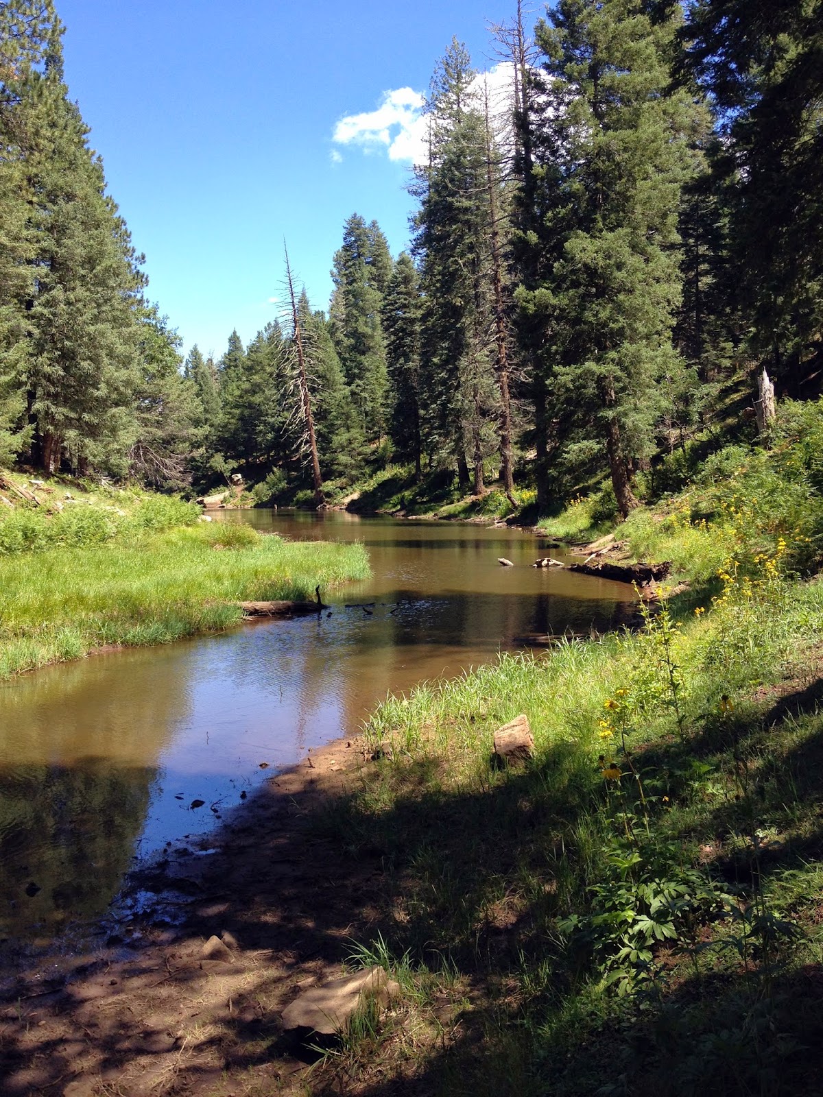 Our Hiking Mystery Woods Canyon Lake Loop
