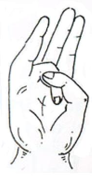 Surya_mudra.JPG
