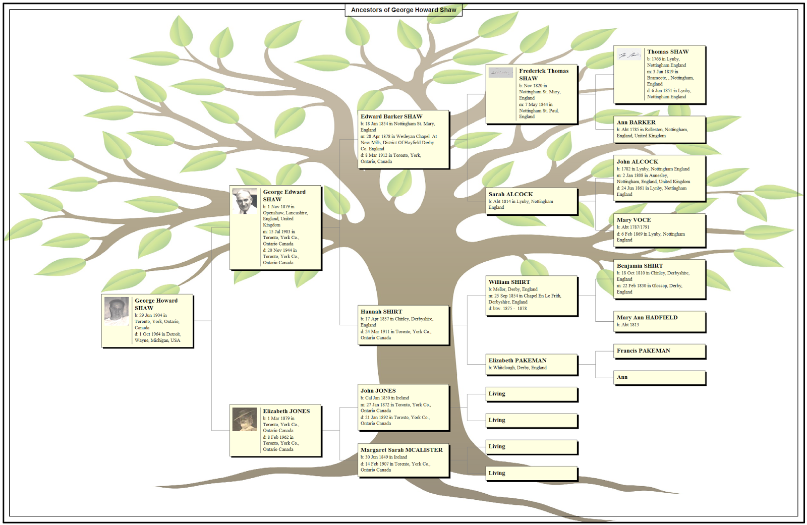 Diggin' for Family Shaw