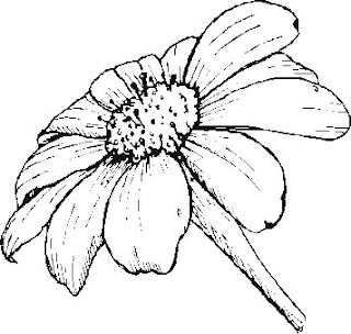 Daisy Coloring Pages Daisy Coloring Pages