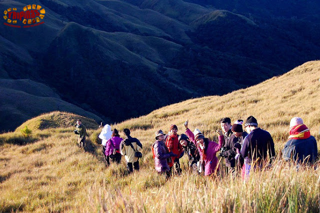Mt. pulag trekking