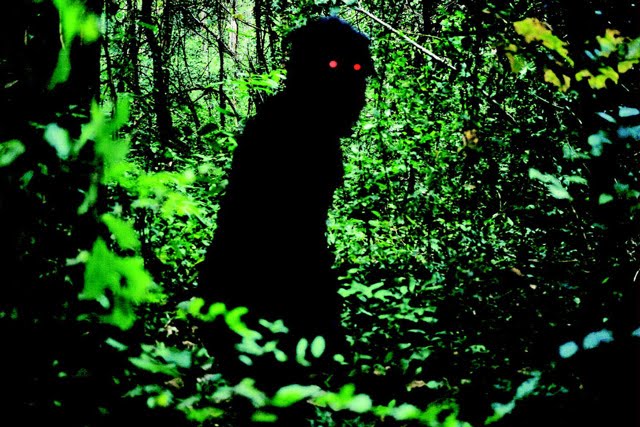 Uncle Boonmee who Could Recall his Past Lives, Photograph