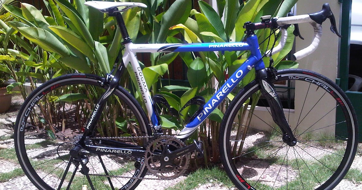 pinarello dogma fp