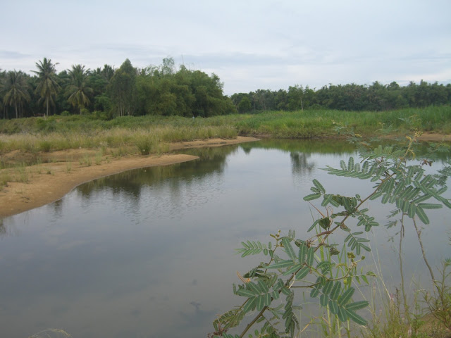 Mảnh đất này - Vườn Cây Này - Ta sẽ làm nên tất cả .