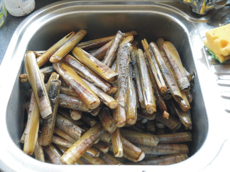 razorfish