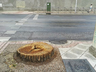 Los abuelos están de más.