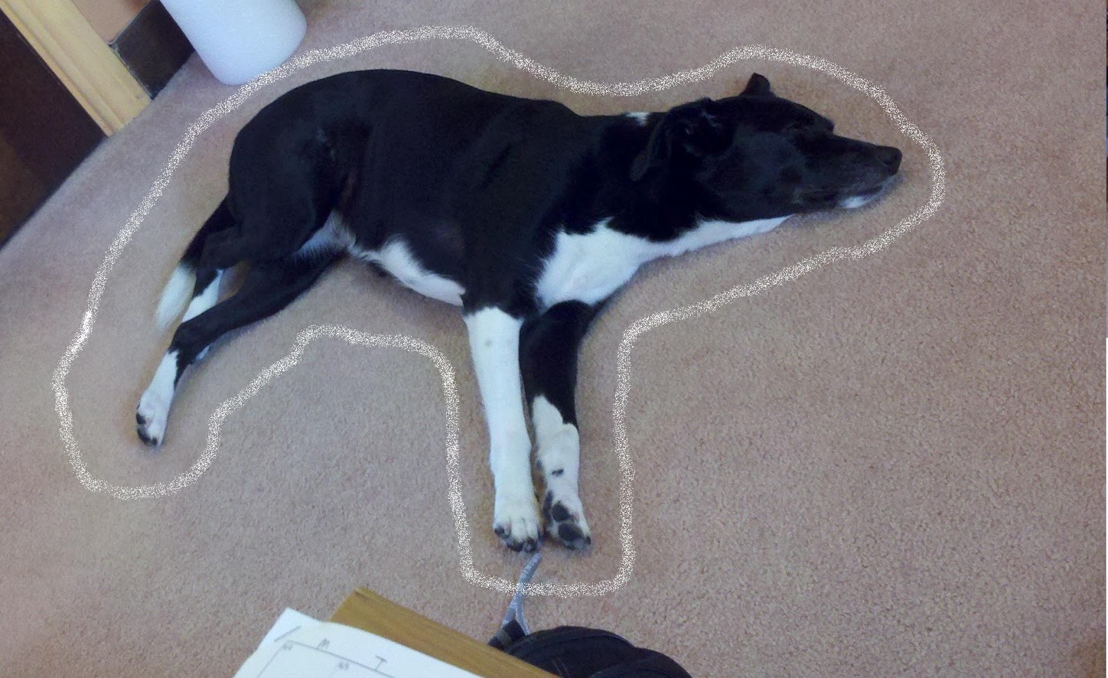 Open & Shutt.....My Story June 2012