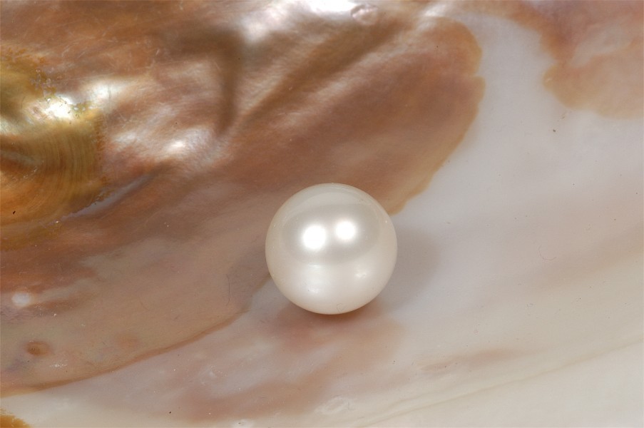 Cris Zalli design Pérolas