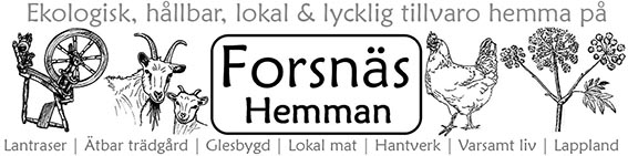 Forsnäs Hemman