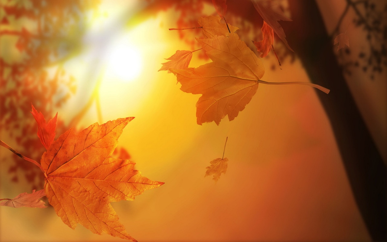 http://4.bp.blogspot.com/-lyo0CHj95Yw/UDXJEA-kriI/AAAAAAAACGE/XOAxewg92pk/s1600/Wallpaper-+H%C3%ACnh+n%E1%BB%81n+m%C3%B9a+thu-+%E1%BA%A2nh+%C4%90%E1%BA%B9p+Vi%E1%BB%87t+(6).jpg
