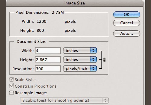 Image Resolution Affects Print Quality Image Resolution Affects Print Quality