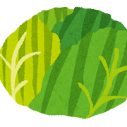 キャベツのイラスト（野菜）