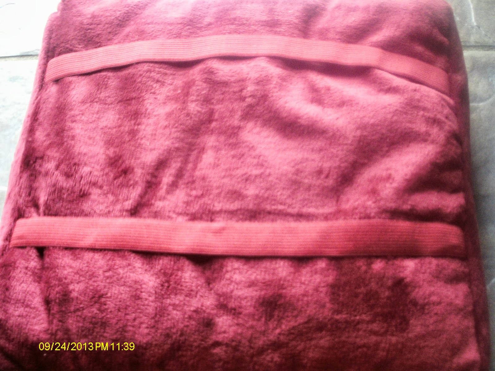 Themeparkmama Gogo Pillow Review