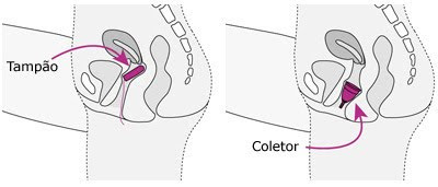 comparação entre o coletor menstrual e um absorvente interno