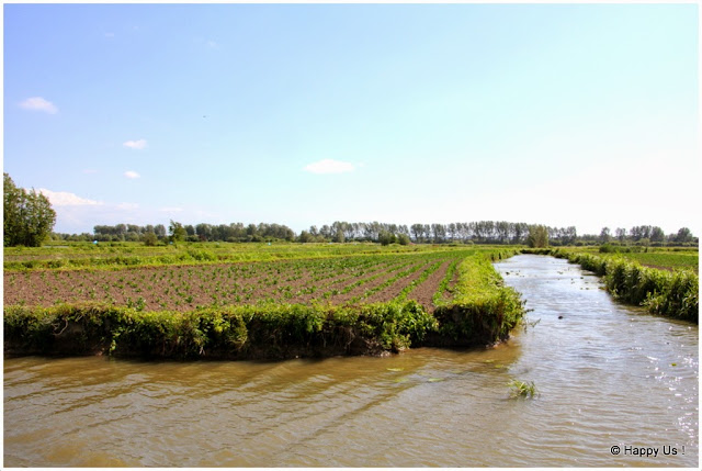 Marais audomarois