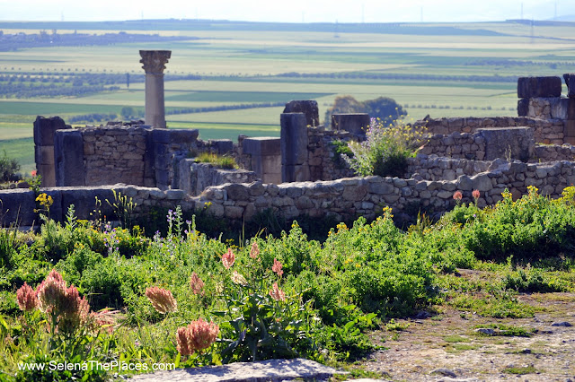 Volubilis Roman Ruins near Fez, Morocco