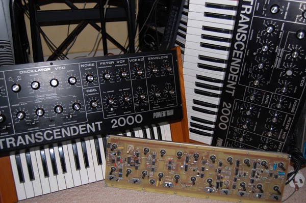 Alienated synthesist 07 picture