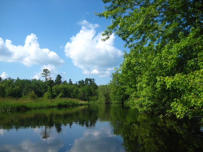 Stewards of the Northwoods Paddling the Manitowish River