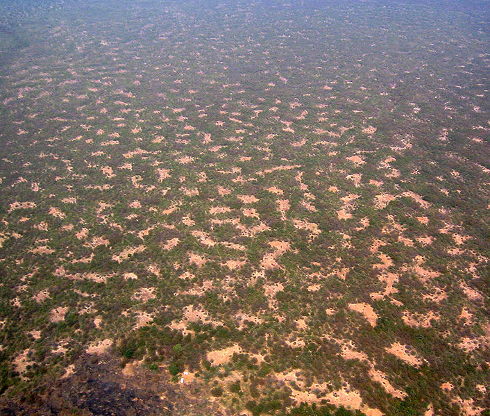 Sahara Desert greening due to