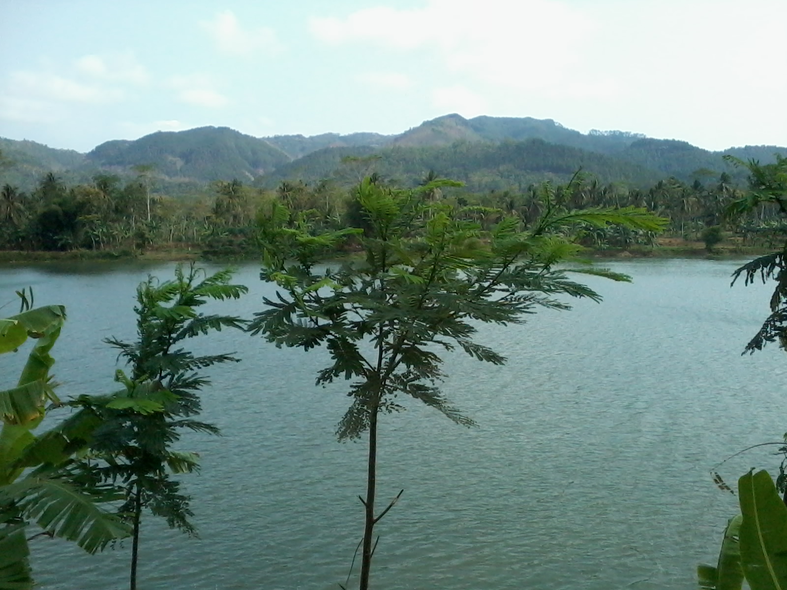 Berkreasi Tanpa Batas TEMPAT WISATA MENARIK DI BANYUMAS