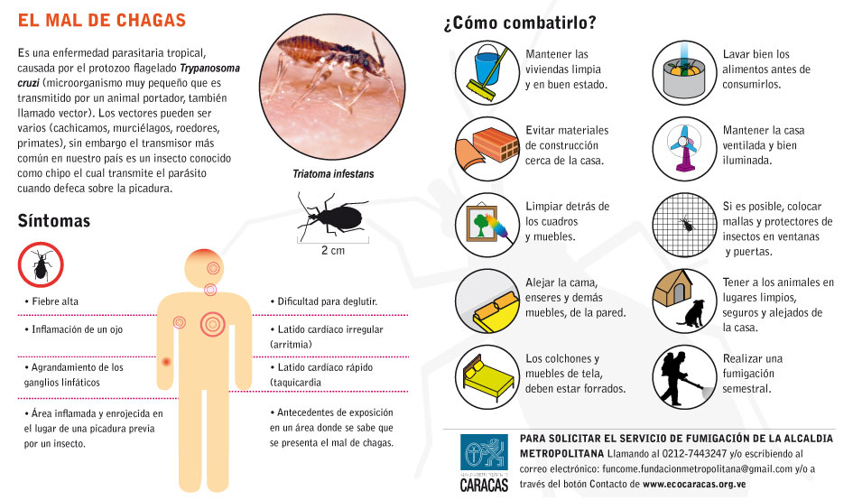 El cirujano vascular varikoz de las venas