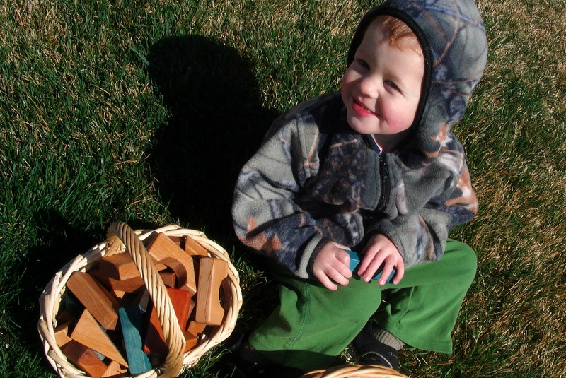 From the of David Austin Classic Building Blocks