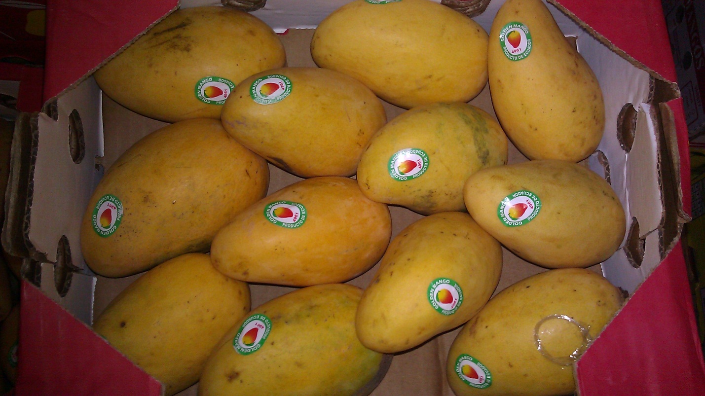 A VISIT TO THE CHICAGO WHOLESALE MARKET BY MAX KOMJATHY OF MARATHON