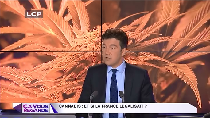 le meilleur cannabis
