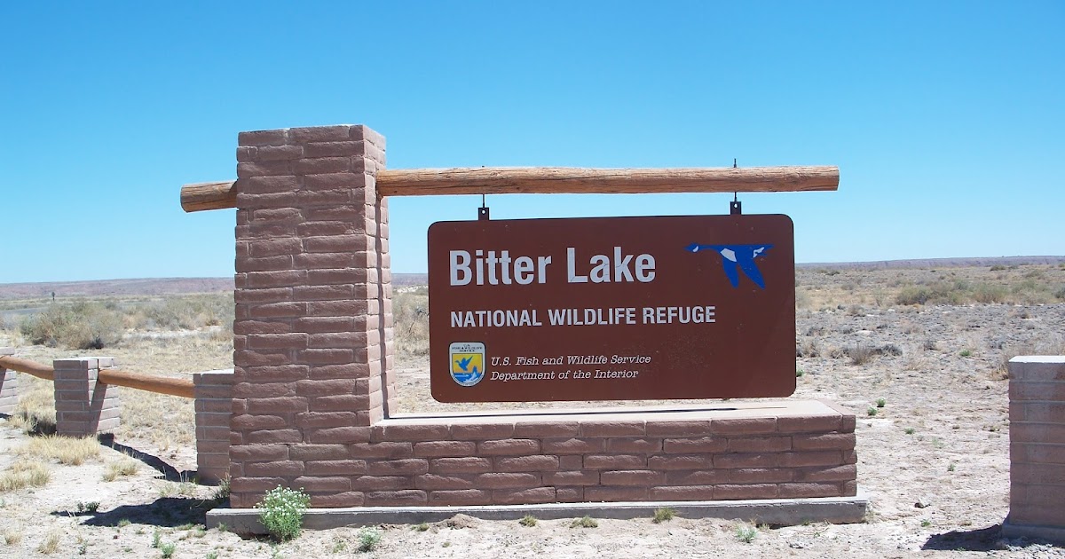 The Road Bitter Lake National Wildlife Refuge