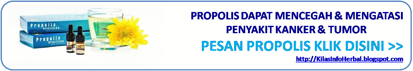 KLIK DISINI