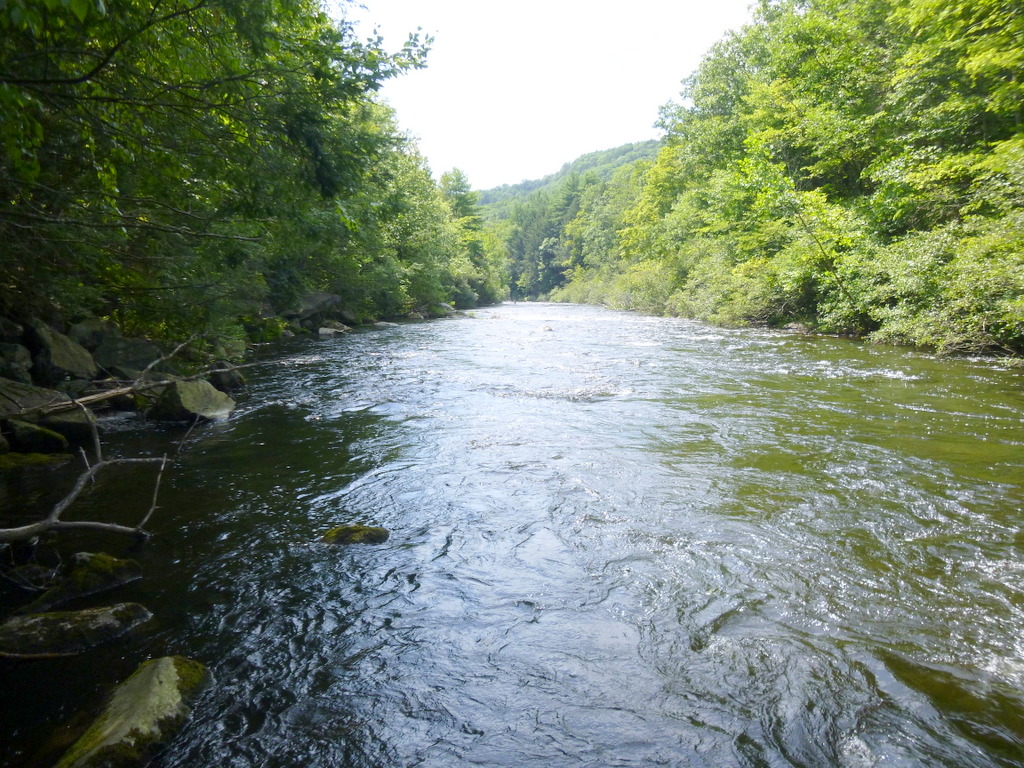 Going to the water Tenkara Fishing in the Farmington River, CT