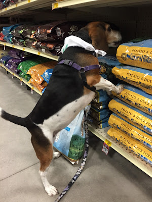 Natural Balance is available at your local PetSmart, and at PetSmart.com.