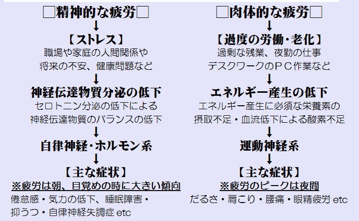 「神経系疲労　肉体的疲労」の画像検索結果