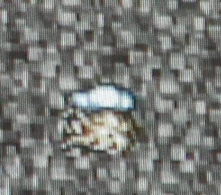 Eh, compared to falling out of the airship this is nothing. Eh, compared to falling out of the airship this is nothing.