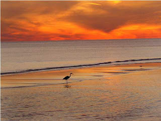 Miramar Beach Florida Condo For Sale, FSBO Property