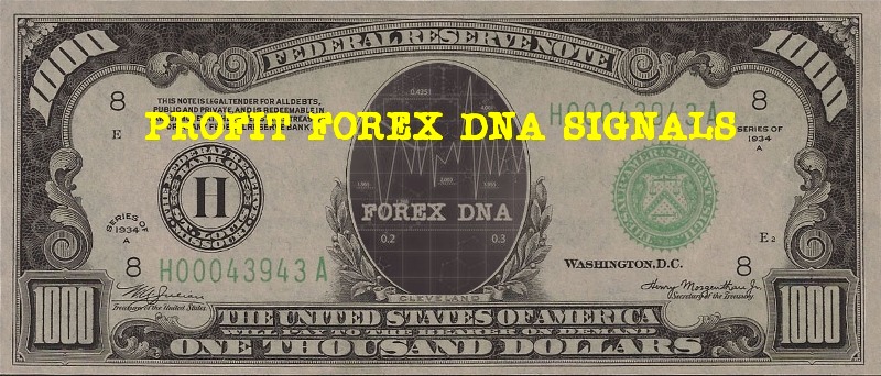 Forex dna