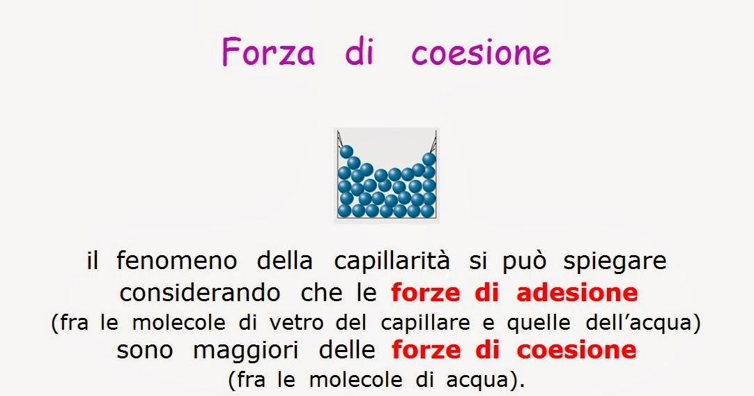 Paradiso delle mappe Forza di adesione Forza di coesione