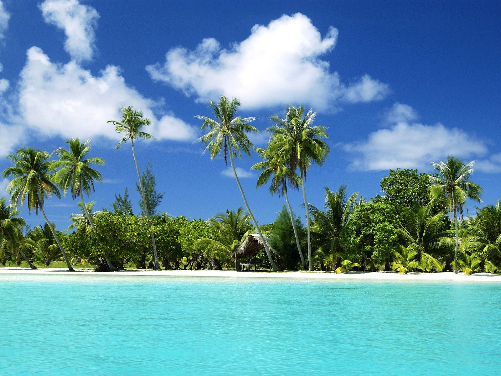 Tourism: Tropical Beaches