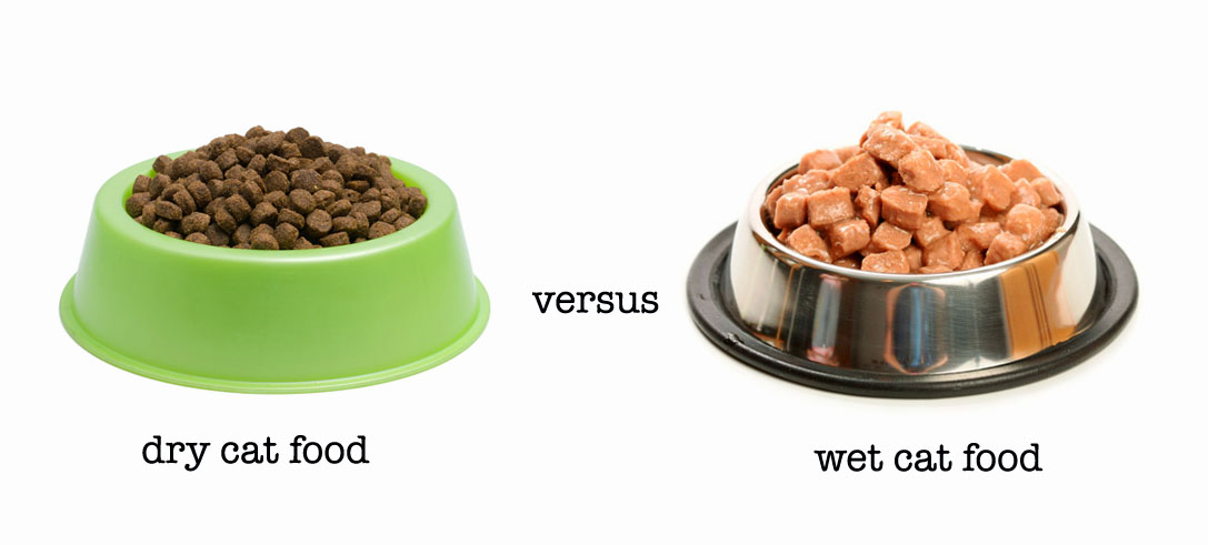Healthiest Soft Dog Food Healthiest Soft Dog Food